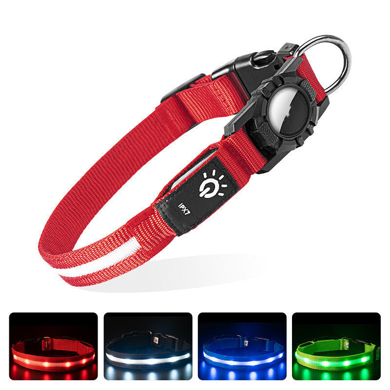 The LED Collar That Keeps Your Pet Safe