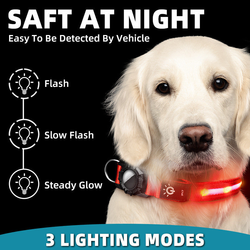 The LED Collar That Keeps Your Pet Safe