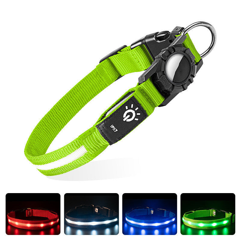 The LED Collar That Keeps Your Pet Safe