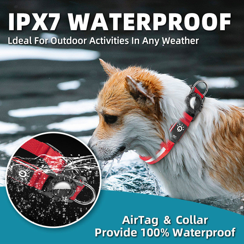 The LED Collar That Keeps Your Pet Safe