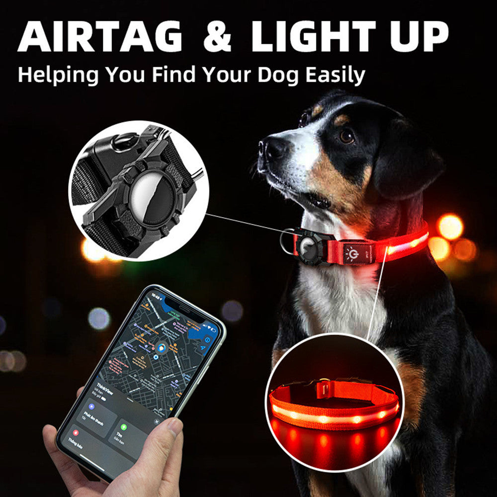 The LED Collar That Keeps Your Pet Safe